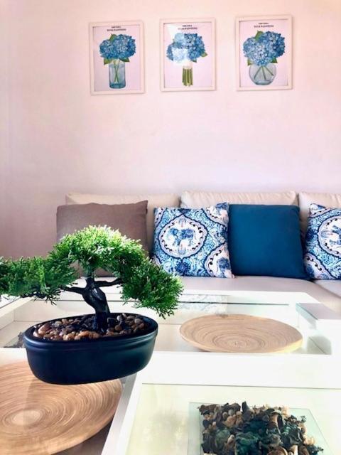 Gatu Premium Atico Parra, Parking, Piscina Comun, Terraza, Wifi , " Preferente Mayores De 25 Anos Y Familias " El Puerto de Santa María Dış mekan fotoğraf